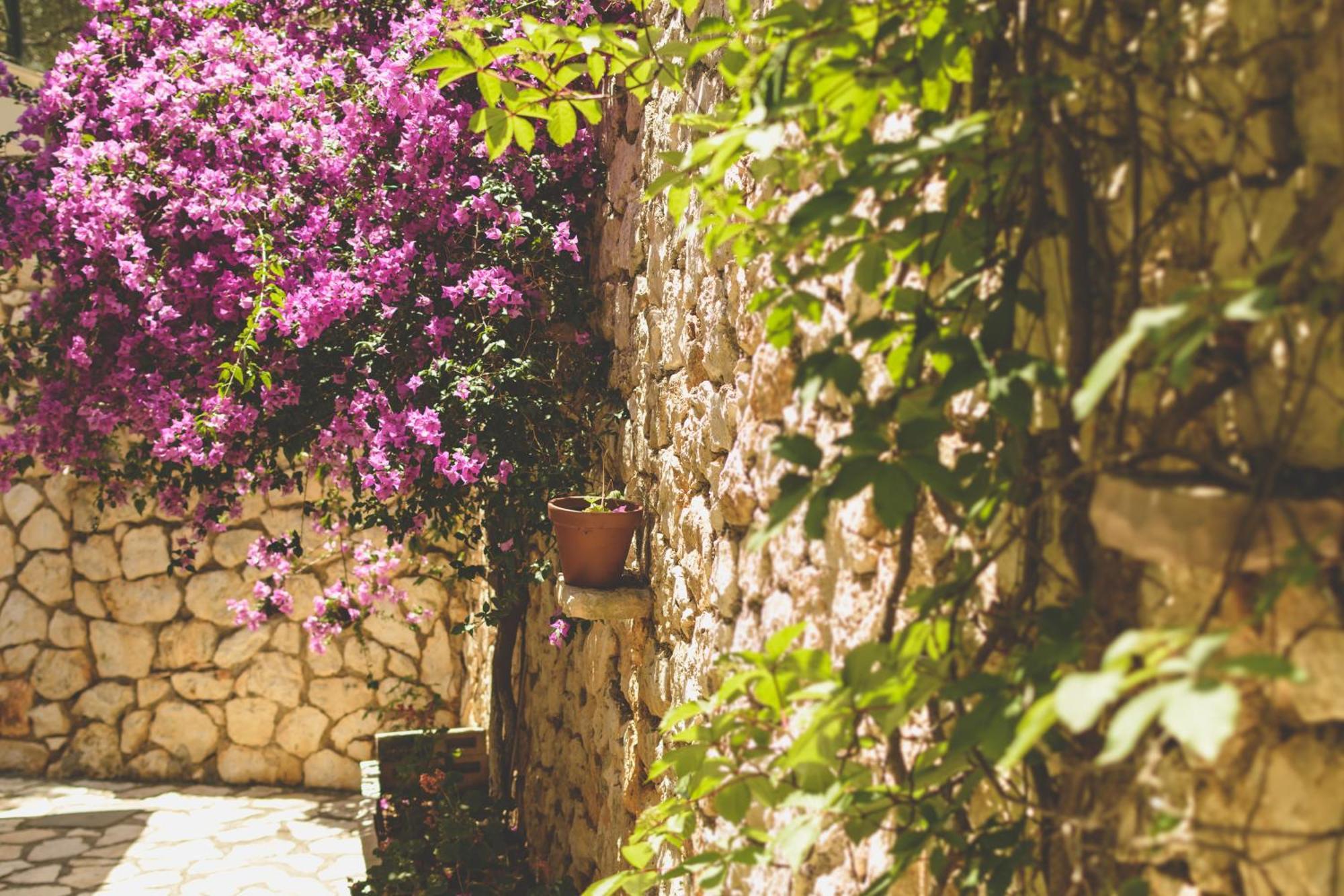 Althea Studios Lefkada Áyios Nikítas Værelse billede