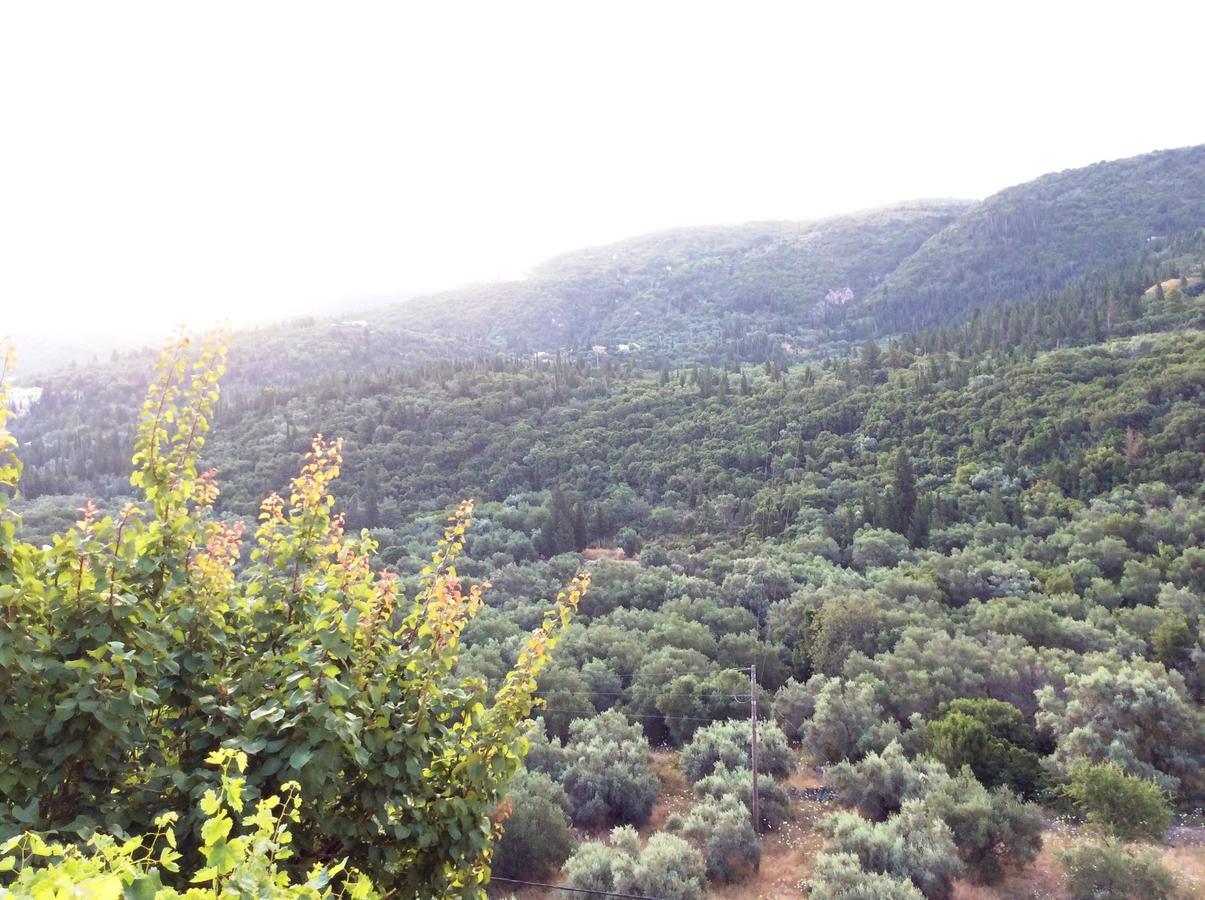 Althea Studios Lefkada Áyios Nikítas Eksteriør billede